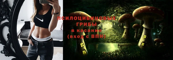 ГАЛЛЮЦИНОГЕННЫЕ ГРИБЫ Осташков