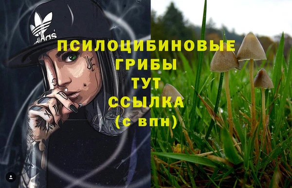 марки lsd Осинники