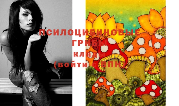 ГАЛЛЮЦИНОГЕННЫЕ ГРИБЫ Осташков