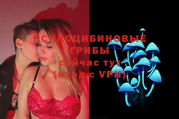 ГАЛЛЮЦИНОГЕННЫЕ ГРИБЫ Осташков