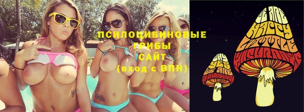 сатива Нязепетровск